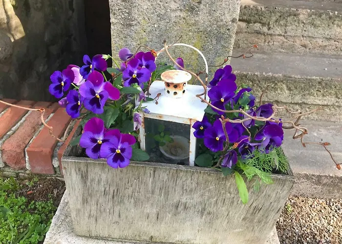 Jarve Talu Puhkemaja *